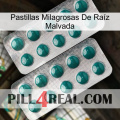 Pastillas Milagrosas De Raíz Malvada dapoxetine2